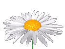 Outside of spa; Actual size=130 pixels wide